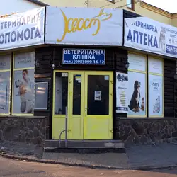 Хвіст — Київ