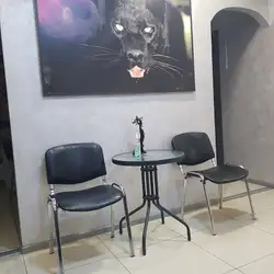 Пантера