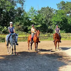 Кінний клуб Arion Endurance Stables — Бобриця