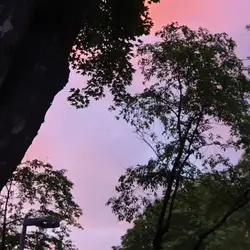 Сауна — Винница