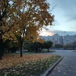 Школа №243