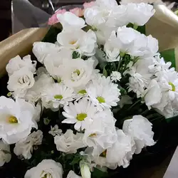 Кафе Ясень — Дніпро