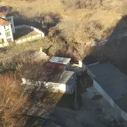 Кулиничі