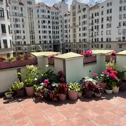 La Terrazza — Київ