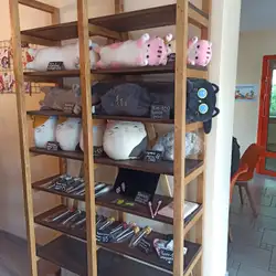 Котейня Муркіт