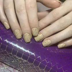 Анна Богорош — Миколаїв