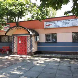 Редфокс — Киев