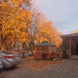 ЛіК-авто