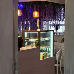 Wisteria — Павлоград
