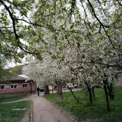 Кафе Граф — Кропивницкий