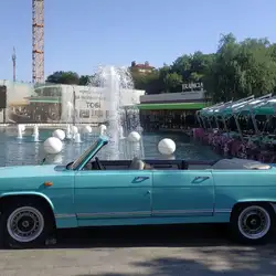 Чайка