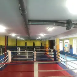 Бокс на Борщагівці