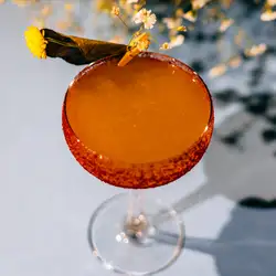 BARACACIA — Днепр