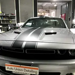 Auto Union detailing