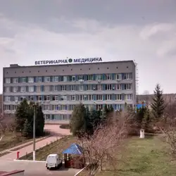 Ветеринарна медицина