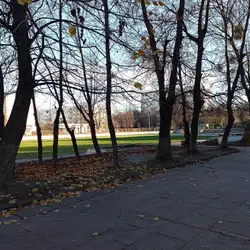 Школа №46
