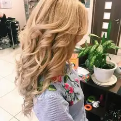 Елегант — Київ