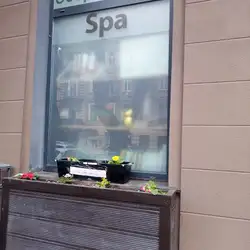 Spa salon Shine