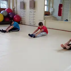 Федерація Айкідо Саторі