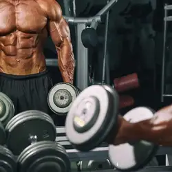 Anabolic Gym