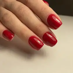 Анна Гоменюк — Київ