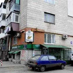 Каштан