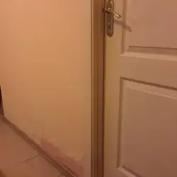 Віват