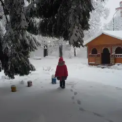НВК Любисток — Чернівці