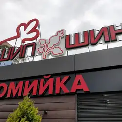 Шипшина