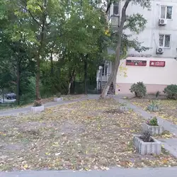 Fortuna Ательє