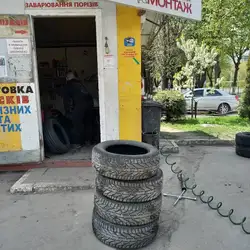ШипШина