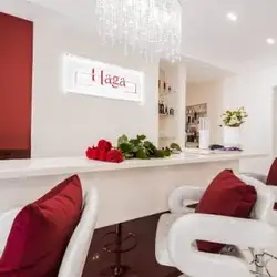 Haga — Киев