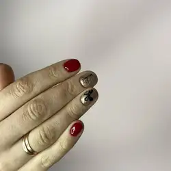 Master_shepeliuk