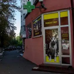 Локалвет