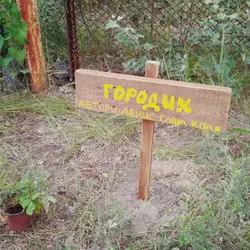 Дитячий табір Халлі-Галлі