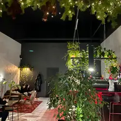 GALLERY — Павлоград