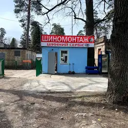 СТО Пуща Водиця - Квітки Цісик