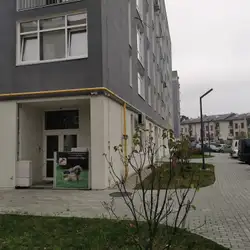 Harmonic Dog — Львів