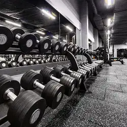 Fitness House