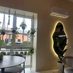 Янг