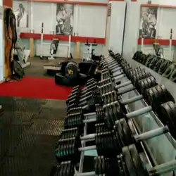 Monster Gym - Карпатська