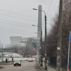 Оазис