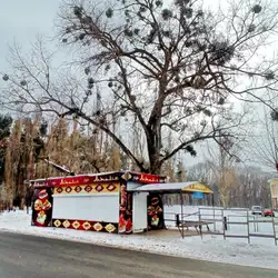 Мезопотамська кухня