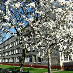 Secondary school №38 — Львов