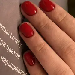 Олександра Збадика