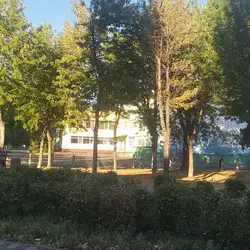 Гімназія №261