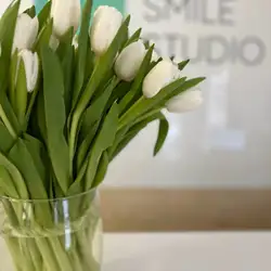 Smile Studio