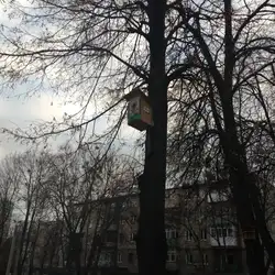 Дошкільний навчальний заклад (ясла-садок) №238