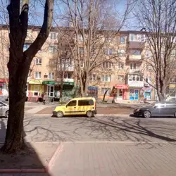Рожевий кіт