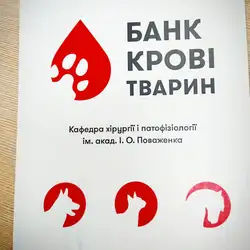 Ветмедсервіс